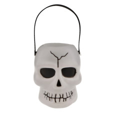 Skull Candy Basket